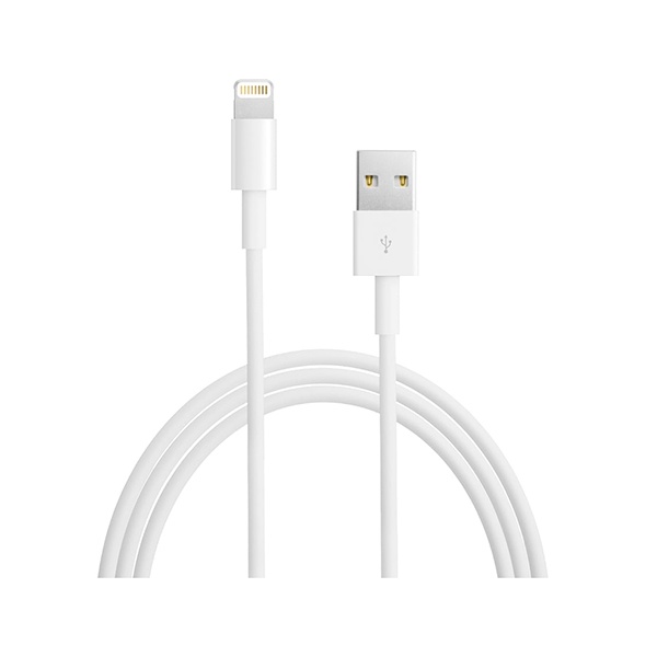 CABLE USB ORIGINAL LIGHTNING 2 MTS C/EMPAQUE