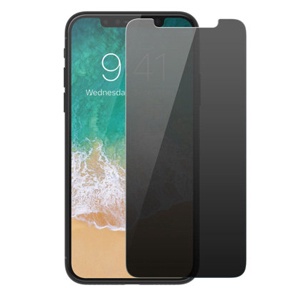 PROTECTOR PANTALLA CRISTAL TEMPLADO IPHONE X/XS/11 PRO PRIVACIDAD