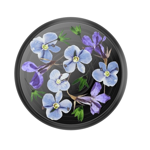[840173719480] POPSOCKETS ORIGINAL 2G TRANSLUCENT NIGHT GARDEN